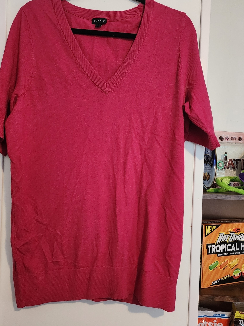 torrid V-neck Short Sleeve Sweater in Raspberry